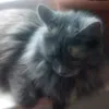 oleka_oleka