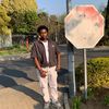 abuti__shibu