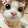 la_emanuellyads