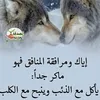 user4uamtx5qzx