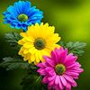 user1129204611579