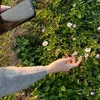 dahyunwifes7
