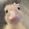 nastycfan4282628