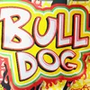 bulldog0w