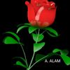 alam2850