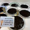 بخور ام مشعل الدوسري