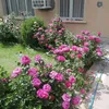 dy9itca9cpe2