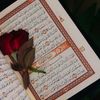 fatimawarsi356