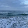 dani.bbb