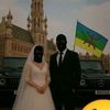 malekboumerdas
