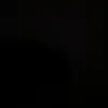 dlbren_111