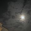 aliio21_