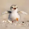 tpajpxmjpwagxfbp