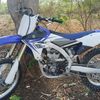 soe.gyi8186