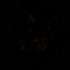 anas_sholikin17