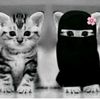 ayesha__khan062