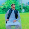 waqardarelo