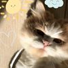 fai.zul76