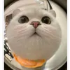 danlinkshopee_vuive