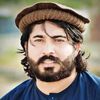 zoolkafalwazir69