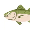 costumecod