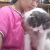 cicihgamiarsih355