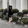 congchuanhobe_1