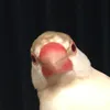 userk5l9ckx96v