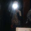 elloolovepeace