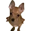 dyw7ciqklkp8