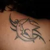 laurapaiola