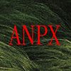 anpixcam