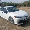 aboebraheem7
