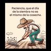 cristoviene353
