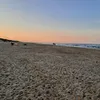 em_1829