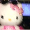 luceolcute