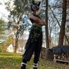 silverdemon74