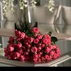 userrkuzacn6oy