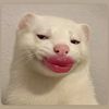 nhaaa296
