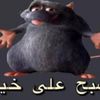 Girono Cherrys