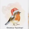 dianesteadman652