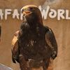 free_eagle7