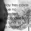 sololaverdad004