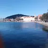 jagodaradanovic37