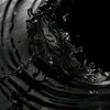 dibu_62