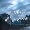 adel3331_1113