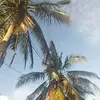diu.ip6
