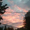 xyrellcalimbo_8