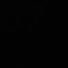 fiore_.44