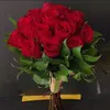 regieeslim1